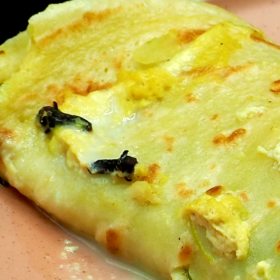 French Crêpes with Chicken and Spinach Filling Recipe Allison Antalek cut2therecipe